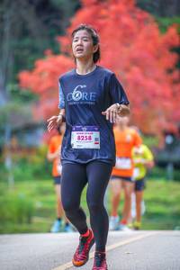 BIB: 8258
                            <button type="button" onclick="openModal(19239645)" class="btn btn-primary btn-sm float-right btn-popup" data-toggle="modal" data-target=".modal-high-quality">
                        <i class="fas fa-shopping-cart"></i> Add to Cart
                    </button>
                                            <button type="button" onclick="isThisMe(19239645, true)" class="btn btn-success btn-sm float-right btn-popup btn-isme hidden" data-toggle="tooltip" data-placement="bottom" title="นี่คือรูปของคุณใช่ไหม คลิกที่นี่เพื่อเอาเข้าอัลบั้ม">
                        <i class="fas fa-plus"></i> Add to album
                    </button>
                    <button type="button" onclick="isThisMe(19239645, false)" class="btn btn-warning btn-sm float-right btn-popup btn-isnotme hidden">
                        <i class="fas fa-ban"></i> Remove from album
                    </button>